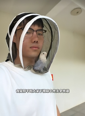 这个养蜂人头套真的是遛鸟神器！