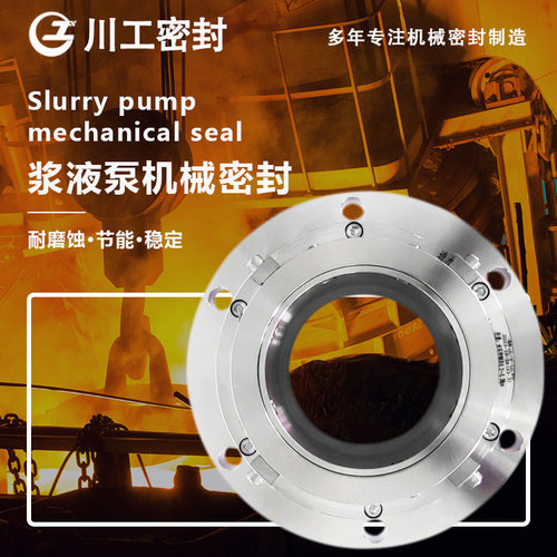 液碱泵密封 BB174-80\6/8LRB(I060 液相球磨化工泵机械密封件 - 图1