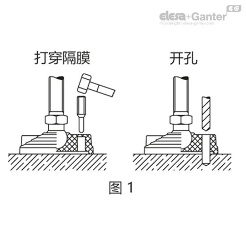 Elesa Ganter伊莉莎冈特 LV.F-SST高科技聚合体不锈钢螺杆(2) - 图2