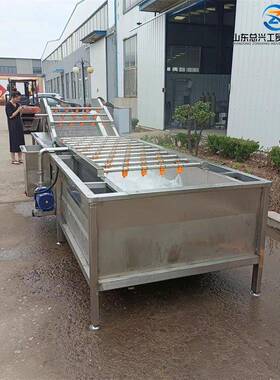 辣椒水浴式清洗机果蔬气泡式净菜加工设备毛豆304不锈钢清洗机