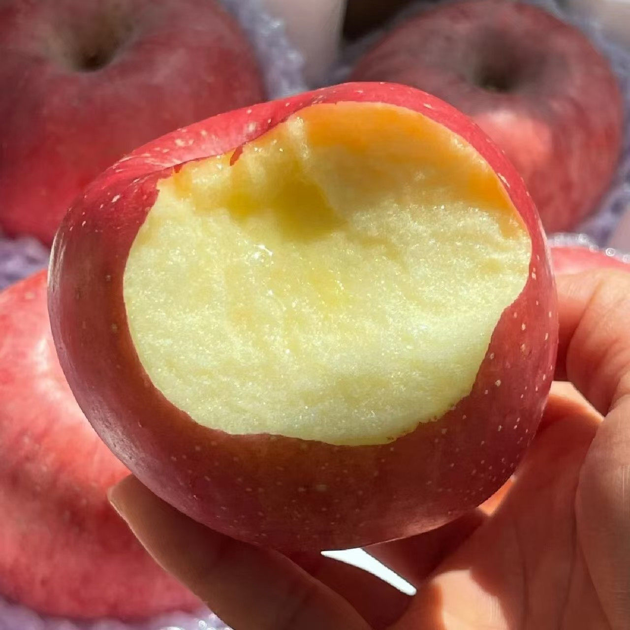 山疆湾精品秒杀产地直发陕西红富士苹果4.5斤净重新鲜水果苹果YH