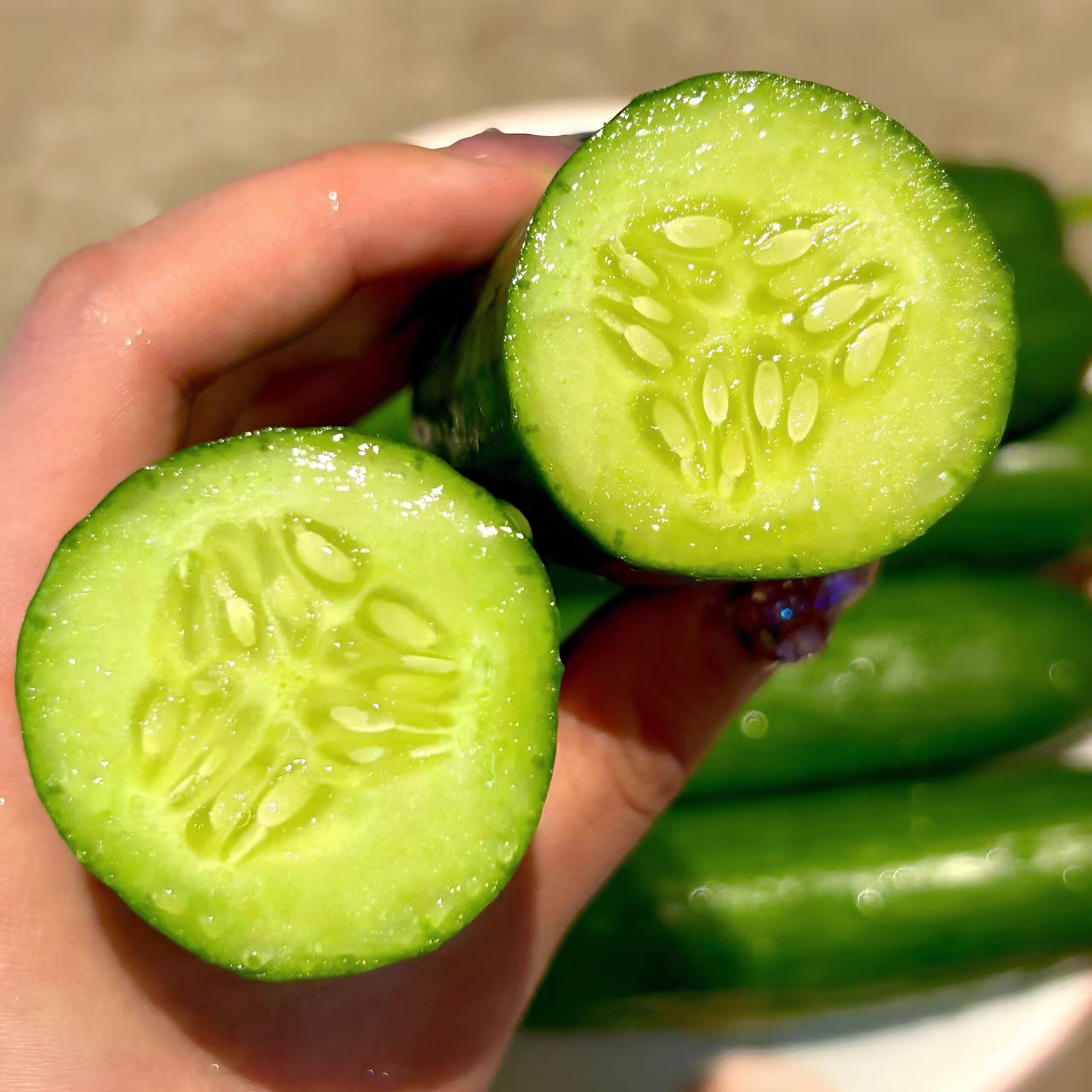 山疆湾产地直采山东寿光水果黄瓜5斤装直发商超品质直供新鲜水果