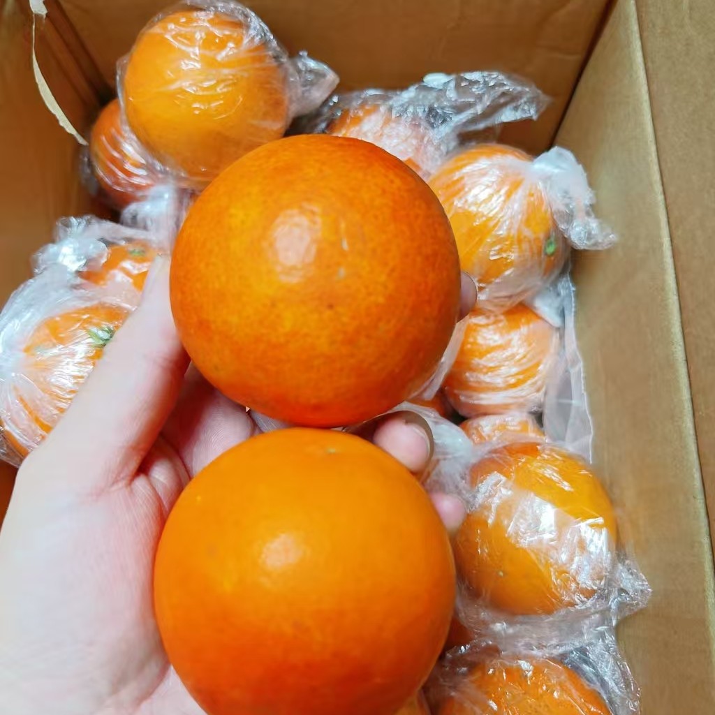 山疆湾产地直发湖南塔罗科血橙净重5斤新鲜