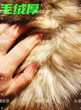 犬皮冬季关节保暖护膝中老年老寒腿男女狗真皮防风寒开口粘扣护腿