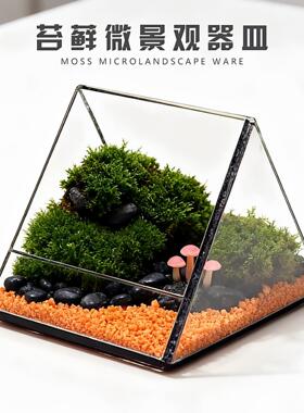 苔藓微景观生态缸透明三角形桌面装饰摆件客厅小众创意玻璃缸