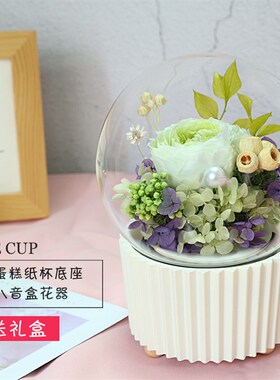 2024新款永生花玻璃罩创意抖音蛋糕纸杯音乐盒底座微景观家居摆件