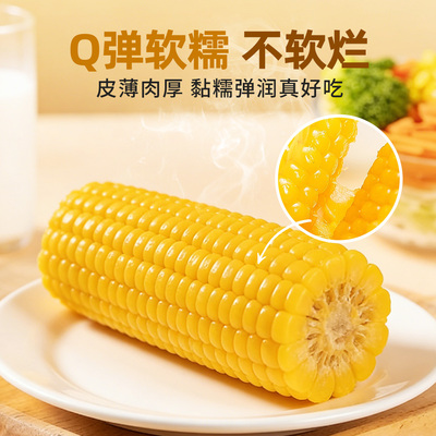 东北直发有机黄黑糯玉米棒
