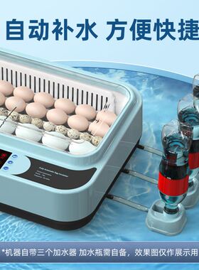 小型孵化器家用孵蛋器全自动智能芦丁鸡孵化机孵小鸡的机器孵化箱