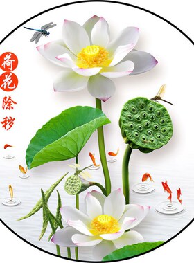 荷花净秽图鲤鱼厨房小卫生间玄关装饰画粘贴画九鱼聚财图挂画自粘