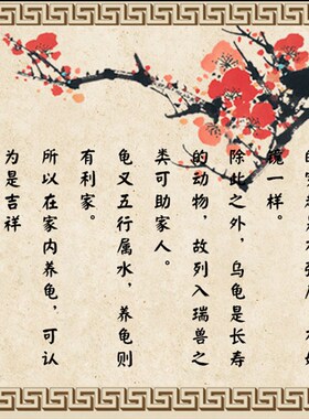 铜龟摆件纯铜乌龟解尖角反弓路长寿龟 祝寿贺寿礼品家居中式装饰