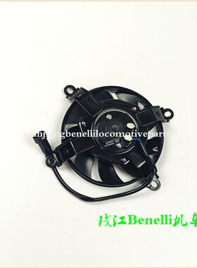 适用黄龙BJ600GS/BN600i/蓝宝龙BJ300GS/302水箱风扇散热器冷风机