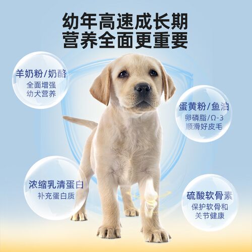 汪爸爸鲜肉低温烘焙狗粮幼犬专用奶糕小型中大型犬泰迪比熊柯基 - 图3