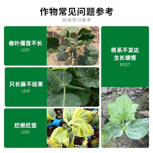 科沃华南瓜突击队贝贝南瓜专用肥膨瓜提质增产补充营养有机水溶肥 - 图0