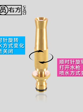 全铜高压水枪直喷便携式洗车浇花家用4分6分内丝接头汽车水枪喷头