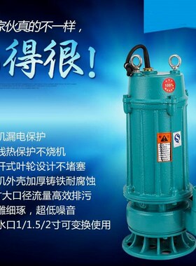 德国进口日本潜水泵220v污水泵家用抽水小型抽水机高扬程农用灌溉