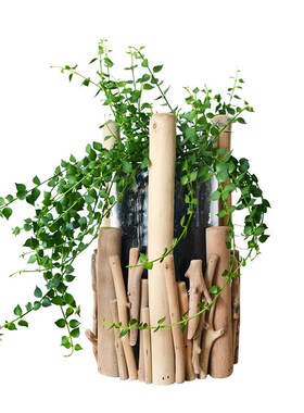 手工原木树枝绿植花瓶摆件客厅玄关插花艺创意高级感装饰餐桌花器