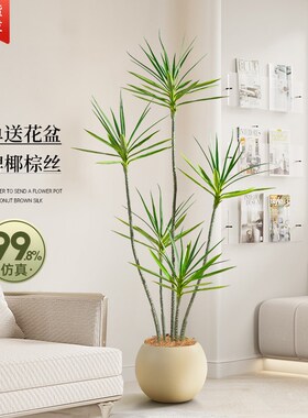 仿真绿植千年木红色高端轻奢大型客厅落地摆件龙血树仿生盆栽假树
