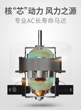 火之凤3100H电吹风机发型师专用发廊专业大功率理发店2400W吹风筒