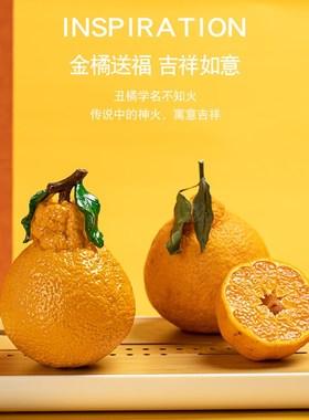 大吉大利橘子摆件创意变色茶宠丑橘个性茶玩茶桌茶台装饰品小配件