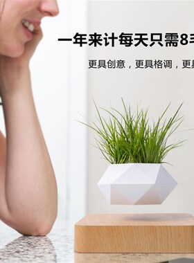 磁悬浮花盆木雕潮流客厅摆件网红创意花店装饰灯泡黑科技礼物礼品