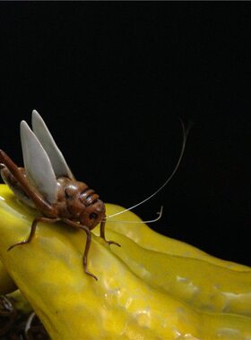 石湾公仔陶瓷佛手创意家居客厅博古架电视柜饰品摆件乔迁工艺礼品