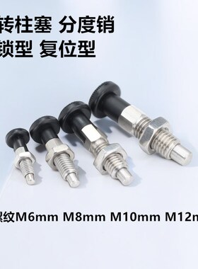 替代米一思旋钮柱塞分度销自锁型复位型PXKN SXYKN6810 12L 16L米
