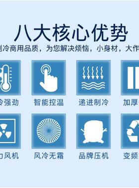 低温速冻柜商用急速冷冻冰柜饺子速冻机雪糕零下40度冷冻柜