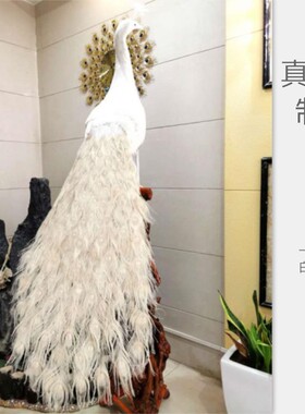 仿真真羽毛孔雀摆件绿白假孔雀橱窗装饰婚纱模型影视道具婚庆工艺