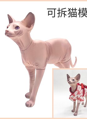 无毛猫模型可拆宠物道具猫狗衣服拍摄展示衣架模特斯芬克斯猫摆件