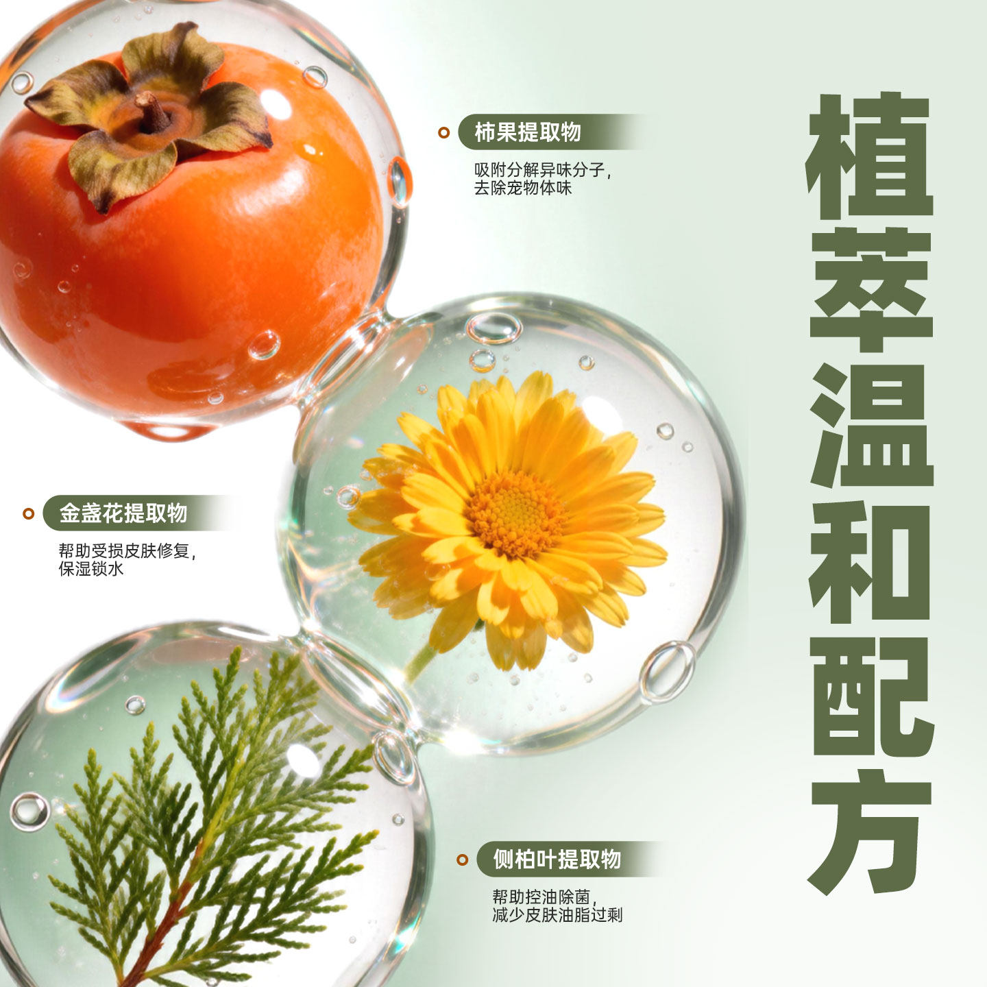 新华莎罗雅宠物猫咪沐浴露氨基酸保湿柔顺控油留香波狗狗洗澡浴液