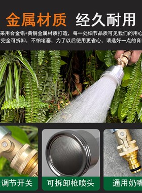 直喷水枪头浇花神器兰花育苗喷头2000目阳台淋菜专用浇水花卉多肉