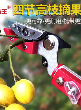 摘果剪高枝剪摘枇杷香椿荔枝伸缩加长杆修果树枝高空采摘水果神器