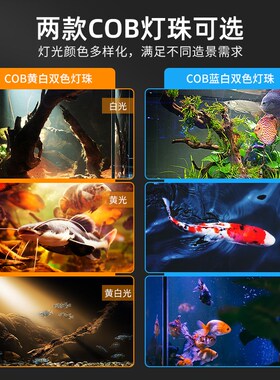 鱼缸射灯led变焦灯南美造景专用小型水草灯雷龙照明灯具防水夹灯