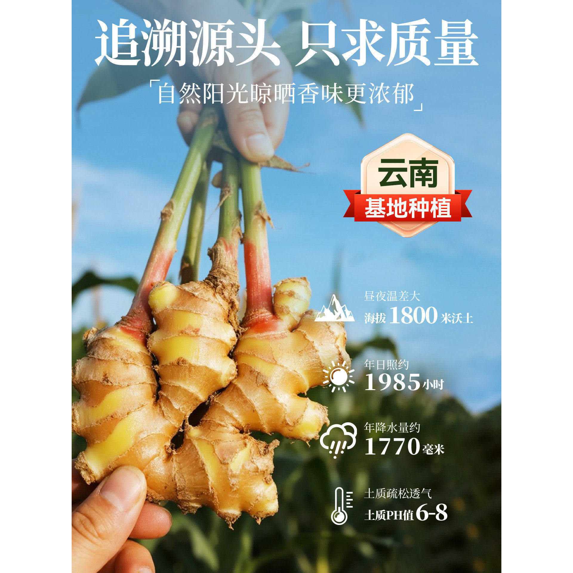 天然姜黄粉官方旗舰店食用大瓶生姜粉纯正冲饮咖啡烘焙家用调料