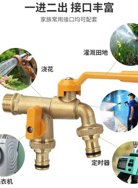 加长户外水龙头防冻全铜一进二出庭院花园浇花4分双出自来水龙头