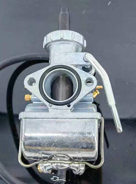 适用台湾三阳SYM豪华野狼125老狼 HE HA N21 CB100 RS125化油器
