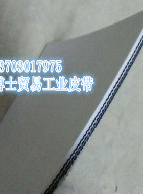 正品白色硅胶耐高温280度工业流水线无缝接驳环形输送带传送带