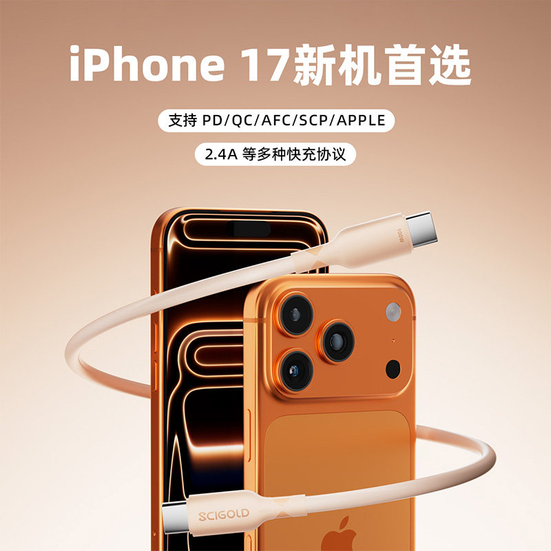 世高 适配华为苹果充电线器快充60W/100W双头Type-c数据线