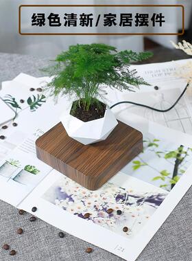 磁悬浮花盆简约创意客厅招财摆件栽家居diy多肉植物科技礼物漂浮