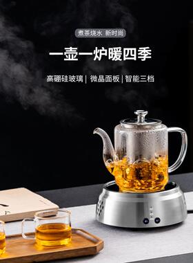 铝微道玻璃壶烧温水煮茶可保电陶炉办公室居家旅行携带351迷你型