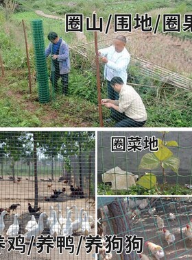 包塑电焊网铁丝网围o栏养殖网养鸡网荷兰网钢丝网防护网小孔绿网