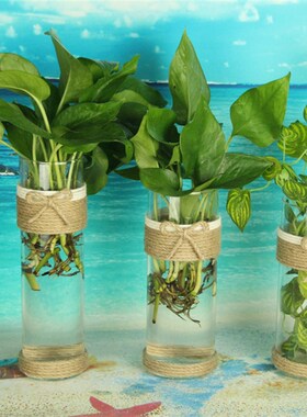 麻绳玻璃创意墙面花瓶s 现代简约居家绿植转运竹装饰花器