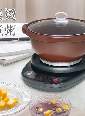 养生电热杯加热水杯子玻璃小便携办公室热牛奶电炖杯煮锅煲汤神器