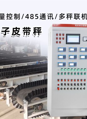 高精度电子皮带秤累计计量称螺旋称定量控制动态流量秤控制仪表