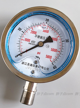 YN100BF径向耐震压力表0-40MPa全不锈钢压力表5800psi螺纹M20*1.5