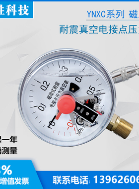 YN60ZT  轴向带边 面板式耐震压力表 液压机液压站抗震油压压力表