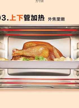 现代家用型烤箱22升烘焙蛋糕多功能电烤箱大容量烘焙烧烤家庭烤箱
