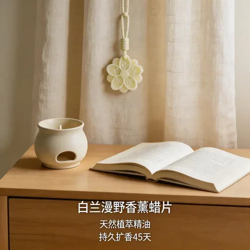 【下单立减50】下姜栀子香薰蜡片衣橱衣柜持久留香高级感香氛_YB - 图2