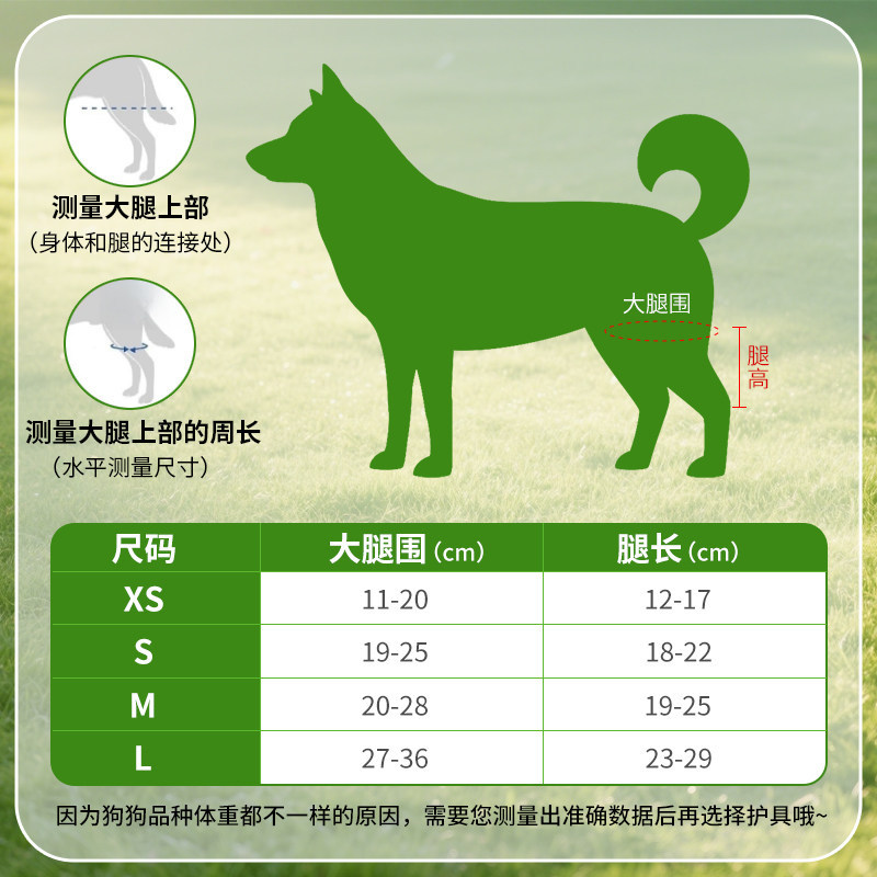Small dog hind leg patella fixed leg brace