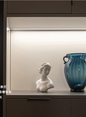 12V低压led嵌入式柜子感应灯条自粘5mm宽灯带层板橱柜电源杜邦线